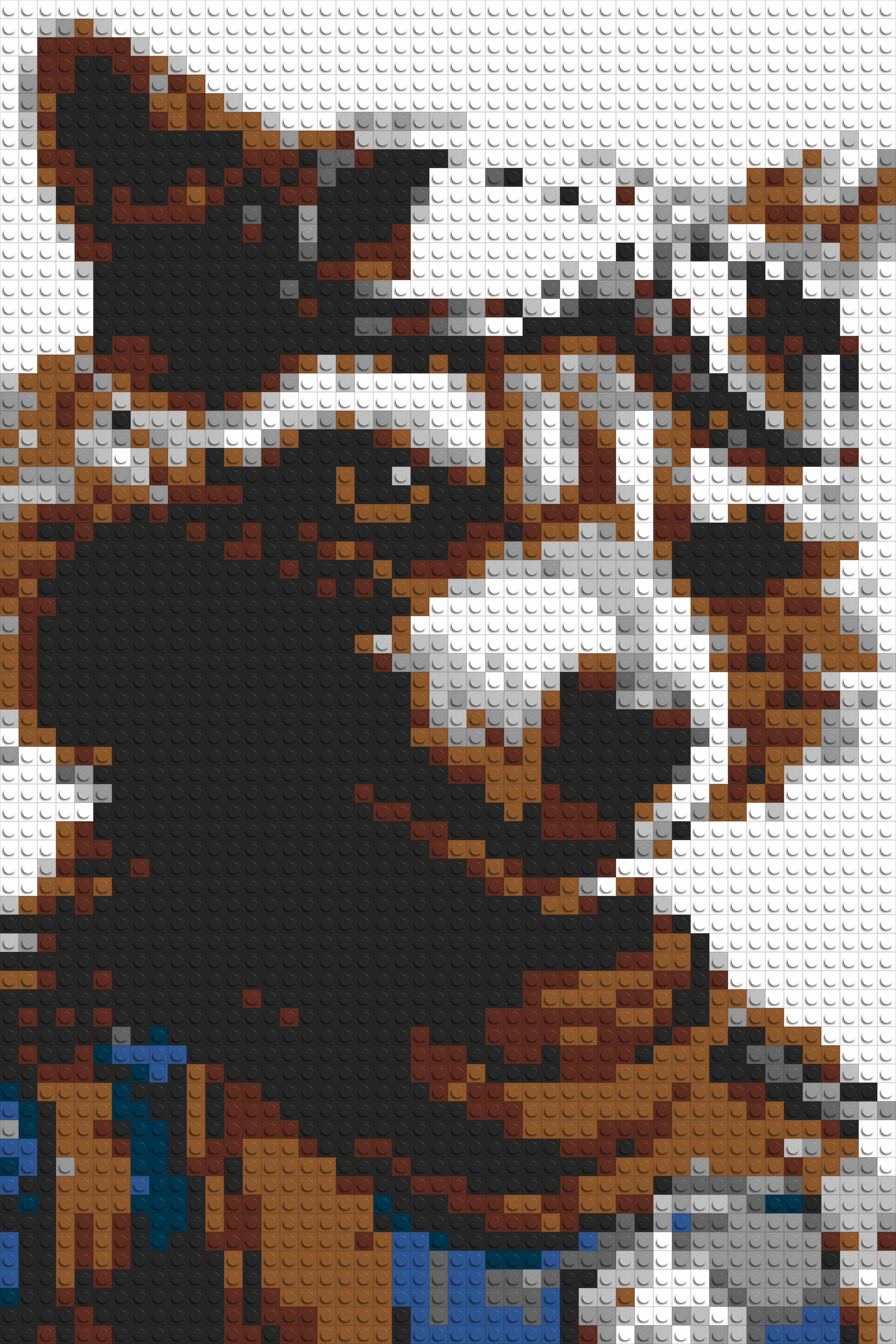 Rocket Raccoon