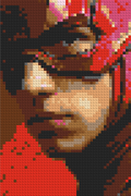 The Flash
