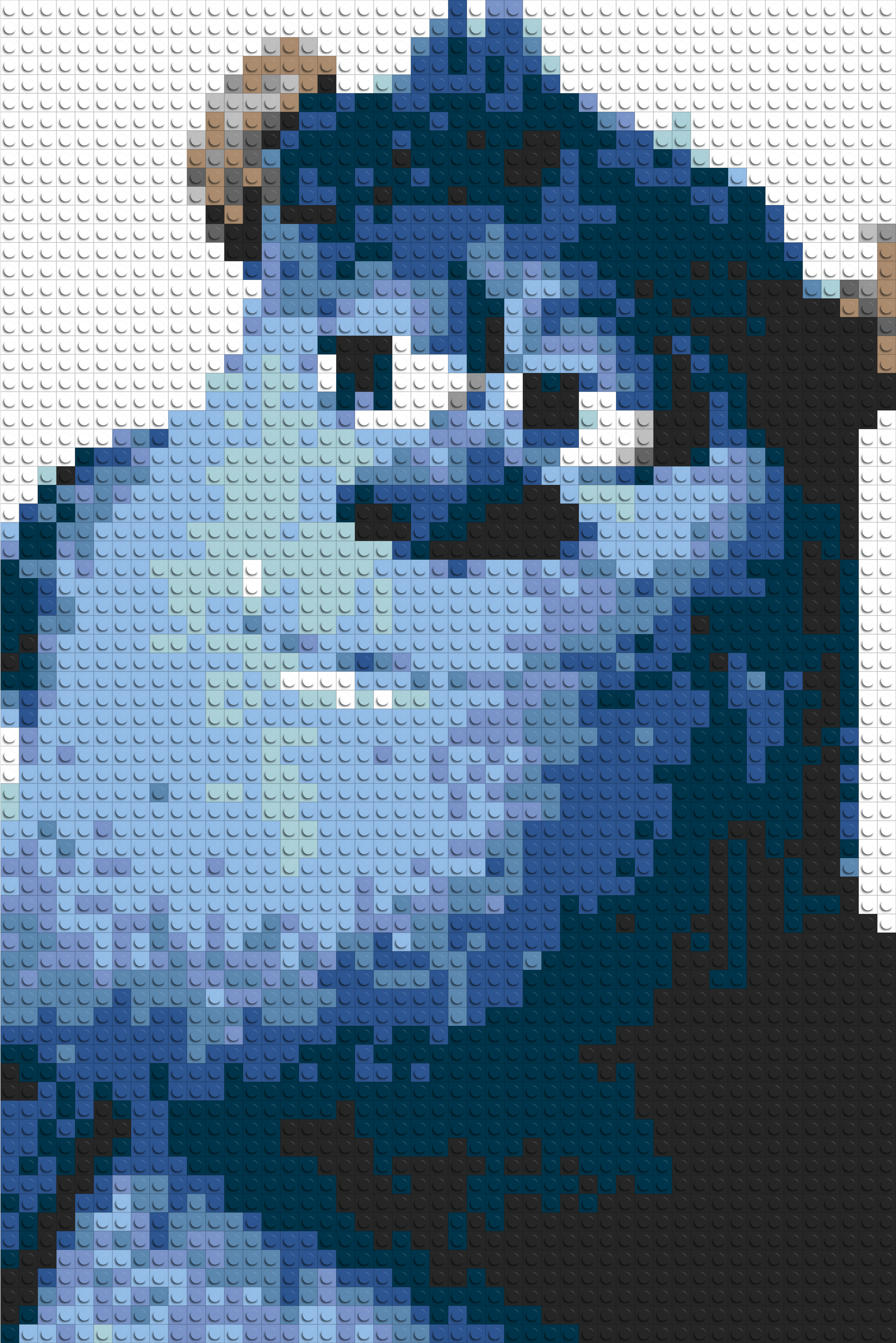 Sulley