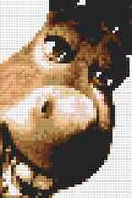 Donkey in Shrek