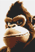 Donkey Kong