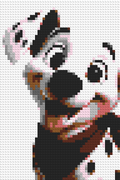 Pongo