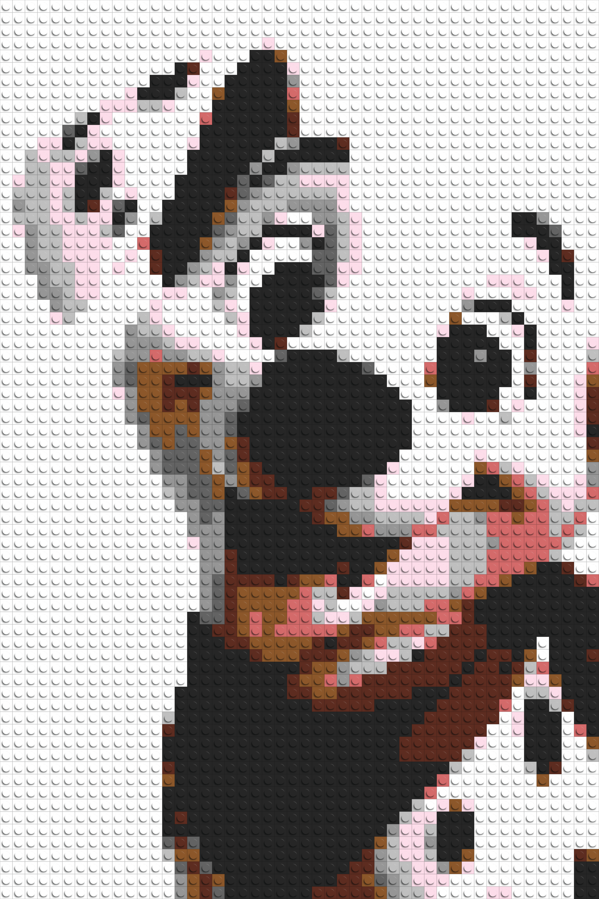 Pongo